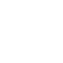 logo light